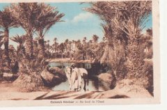 COLOMB BECHAR  1932 AU BORD DE LOUED